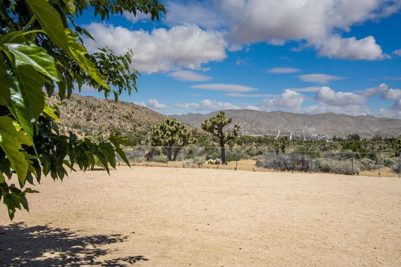Peaceful Home With Nature Views & Trail Access Yucca Valley Extérieur photo